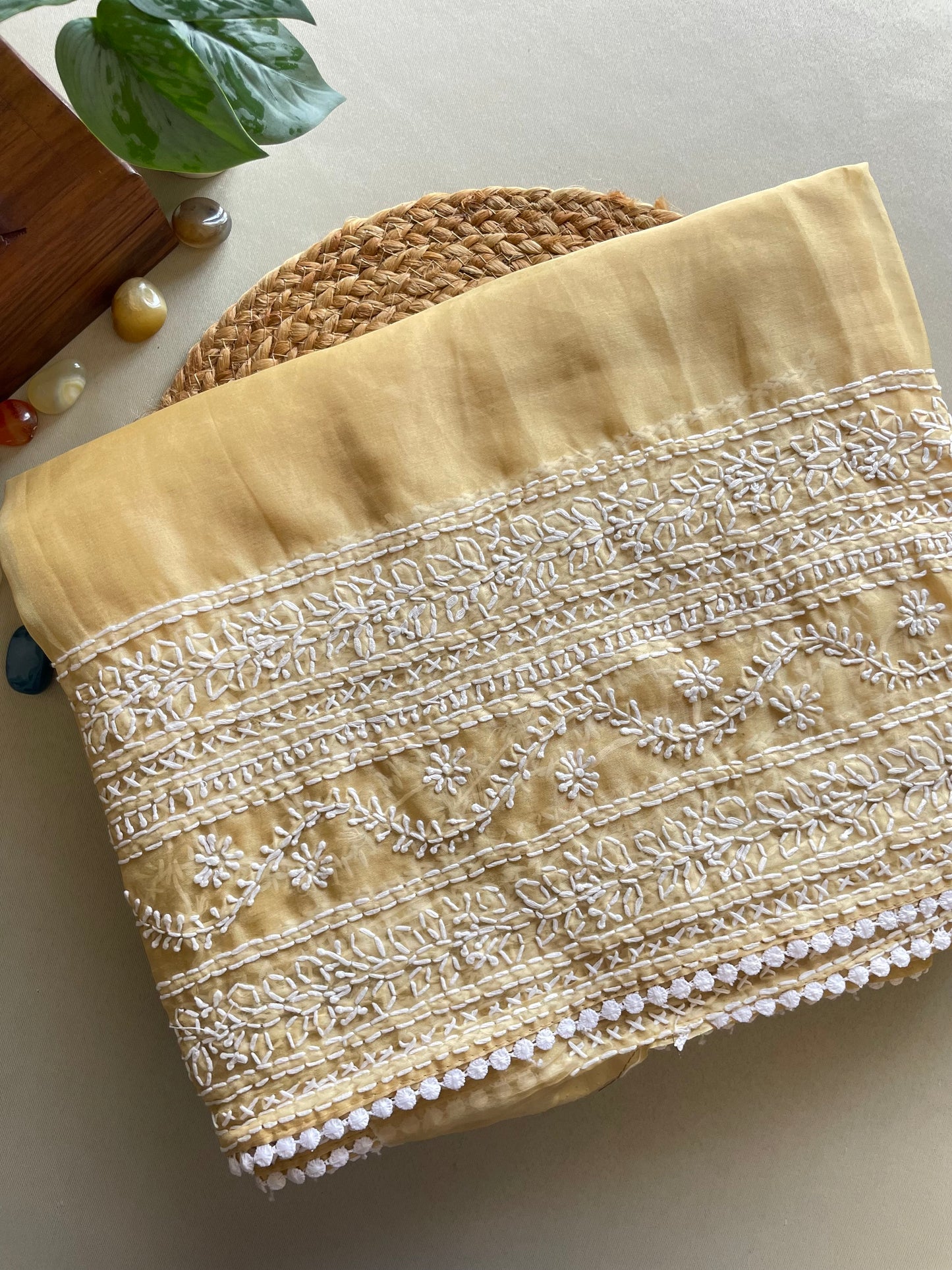 Beige Chikankari Embroidered Organza Saree