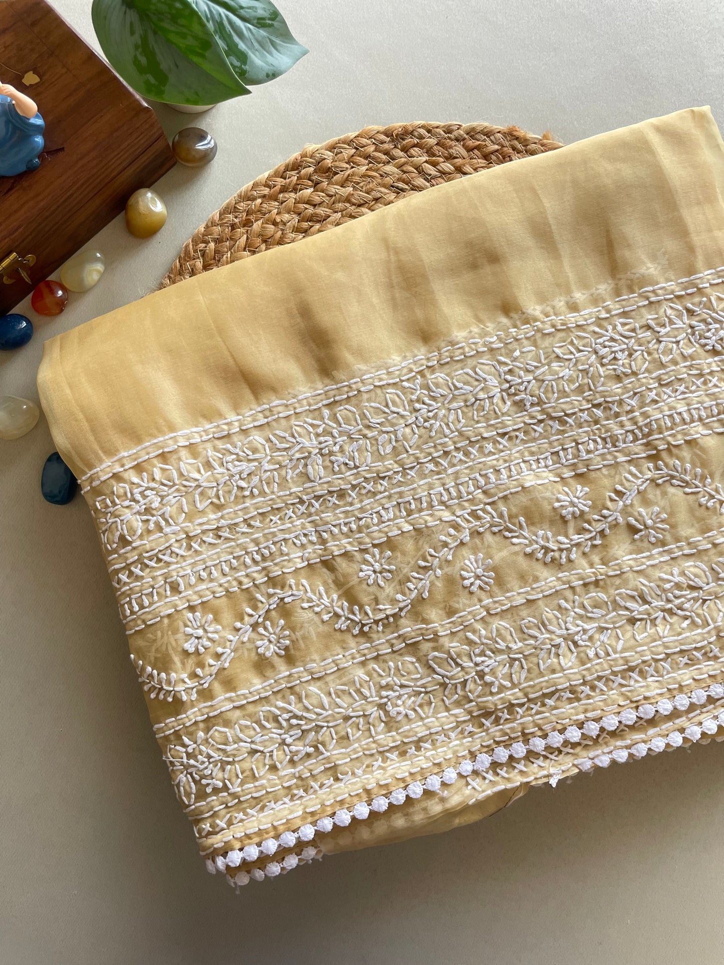 Beige Chikankari Embroidered Organza Saree