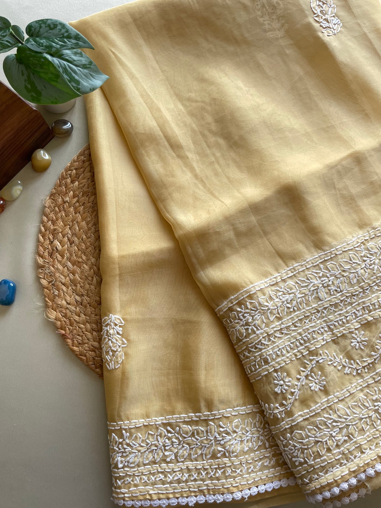 Beige Chikankari Embroidered Organza Saree
