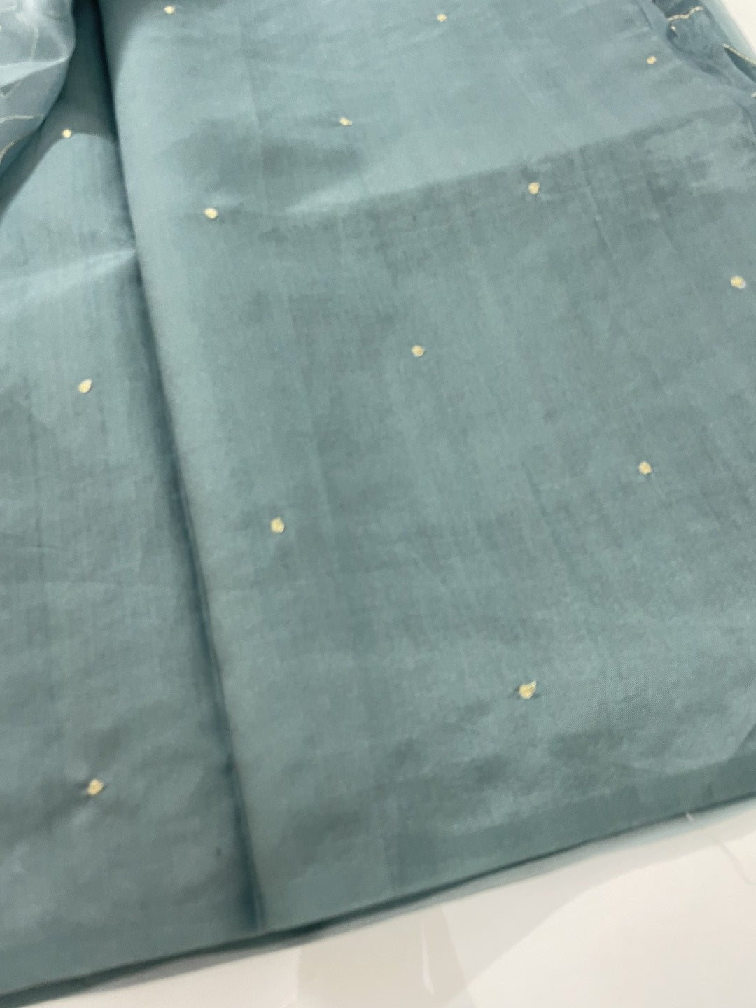 Dusty Blue Printed Zari Highlight Organza Saree